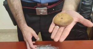 Bimbo intossicato da biscotti alla cannabis, arrestato lo zio: deteneva e coltivava cannabinoidi