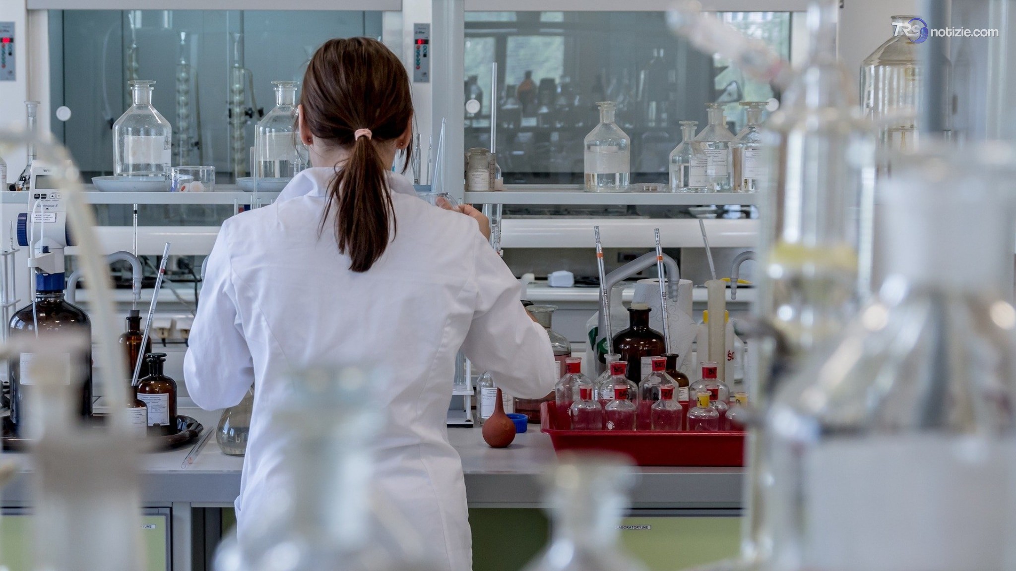 Epatiti, Ecdc: “In Europa 5 mln con malattia cronica”. Iss: Serve prevenzione”