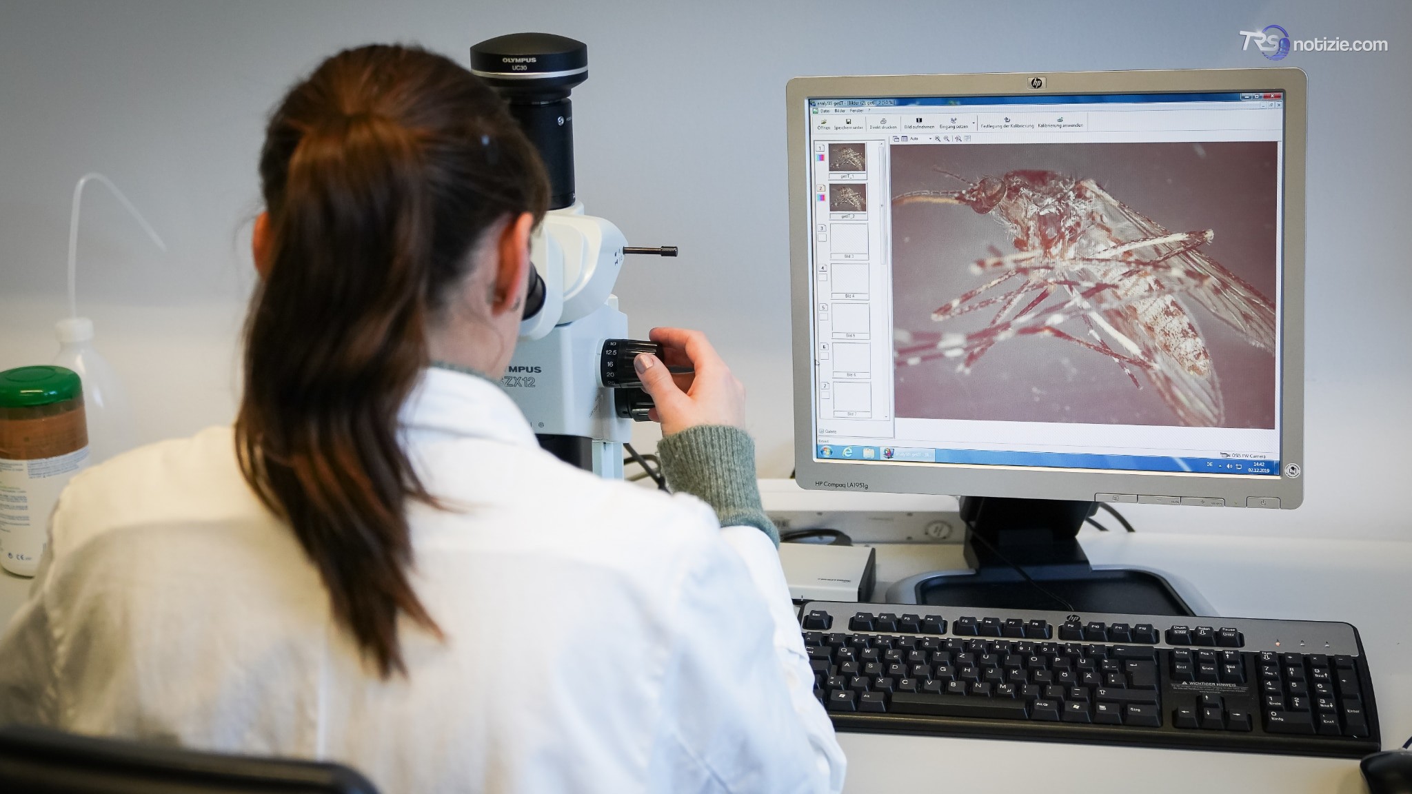 Aumentano i casi di West Nile in Europa, l'Italia la più colpita