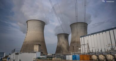 Meduse nei filtri, parziale chiusura per una centrale nucleare in Francia