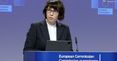 L'UE sugli extraprofitti delle compagnie petrolifere: "Gli Stati membri possono già agire da soli"