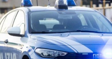 Propaganda per l'Isis, arrestato 16enne