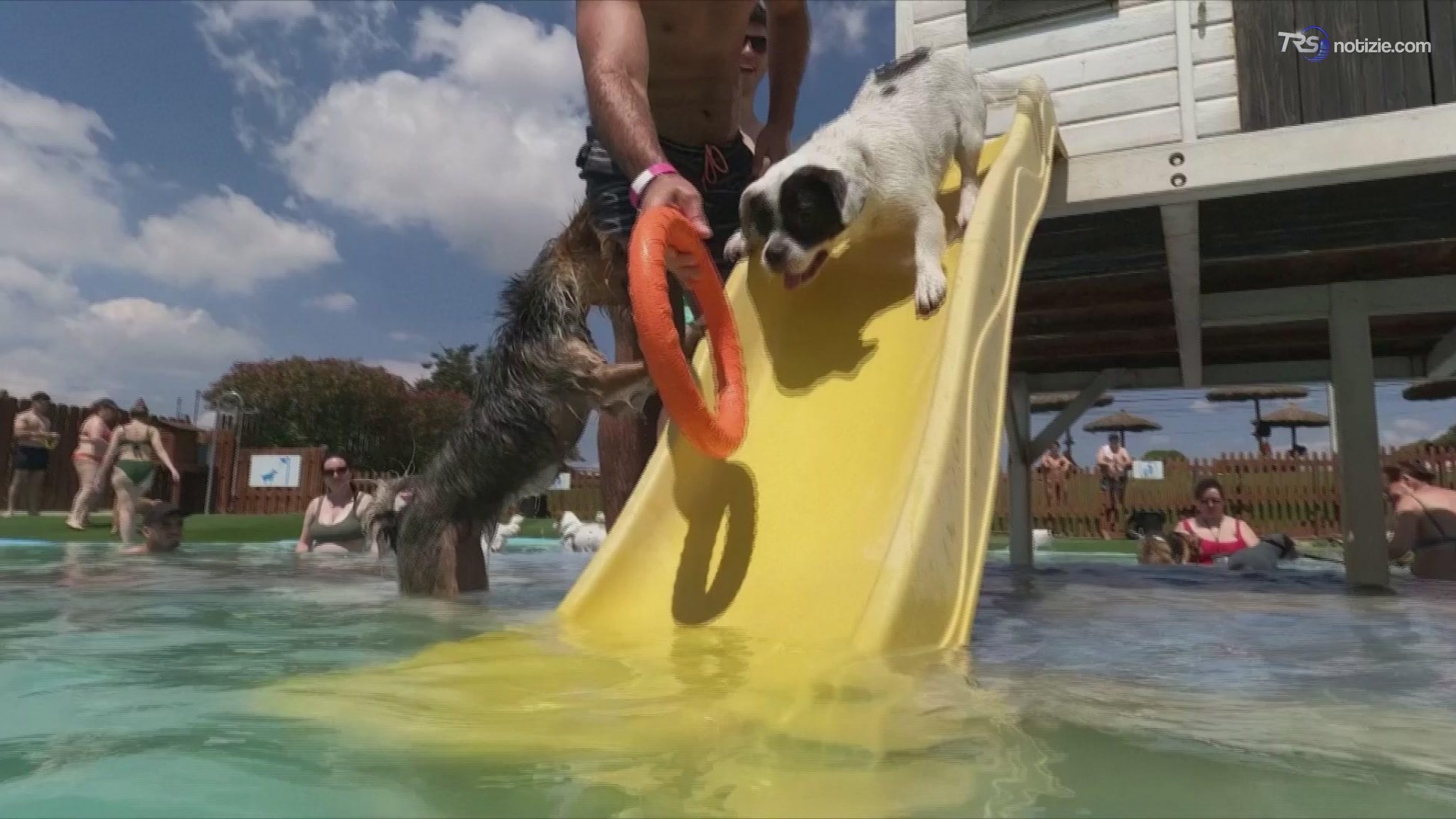 È il primo resort per cani della Spagna con piscine, scivoli e albergo di lusso