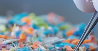 Microplastiche nel sistema nervoso, si apre una nuova pista sulla Sla