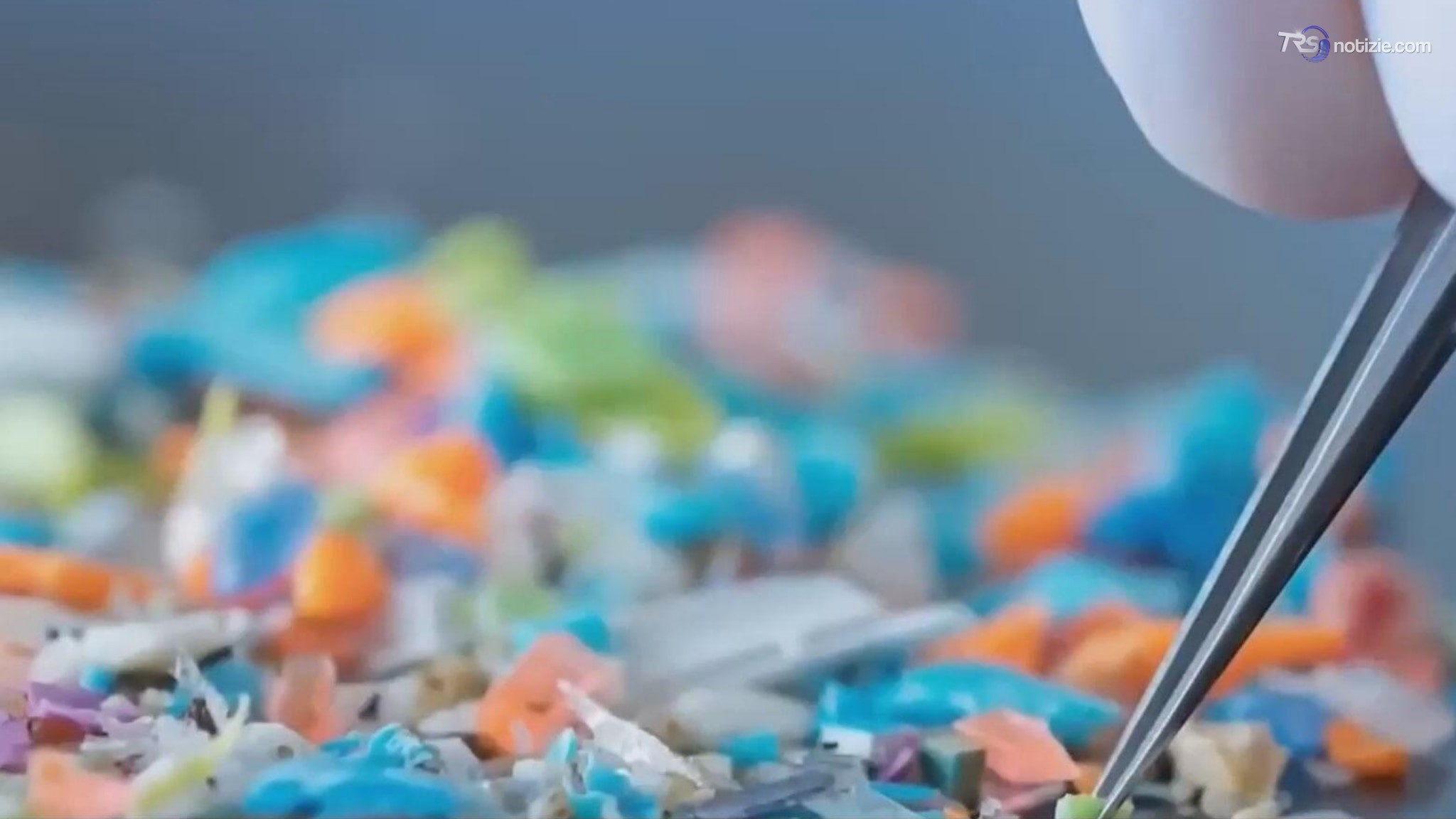 Microplastiche nel sistema nervoso, si apre una nuova pista sulla Sla