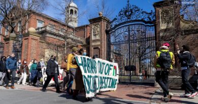 Harvard vince contro Trump: il giudice respinge la causa dell'amministrazione per antisemitismo