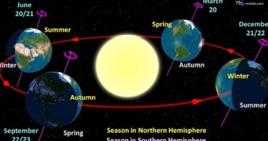 Arriva il solstizio d’estate, cos'è e a che ora scatta il "giorno più lungo dell'anno"