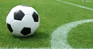 Calcio, esordio di campionato positivo per il Palermo