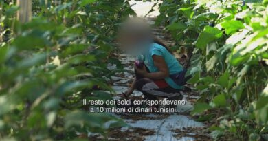 "Il prezzo della legalità": inchiesta sul sistema di abusi che sfrutta il Decreto Flussi