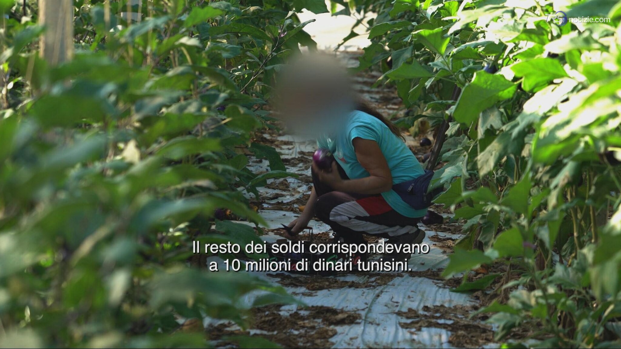 "Il prezzo della legalità": inchiesta sul sistema di abusi che sfrutta il Decreto Flussi