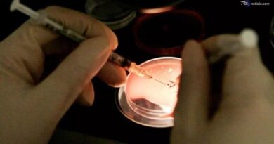Il dramma della fecondazione in vitro al San Paolo: "Riconosciuta e amata, ma distrutta la fiducia"