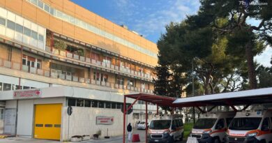 Bari, bimba di 6 anni azzannata da cane randagio: è in rianimazione al Policlinico