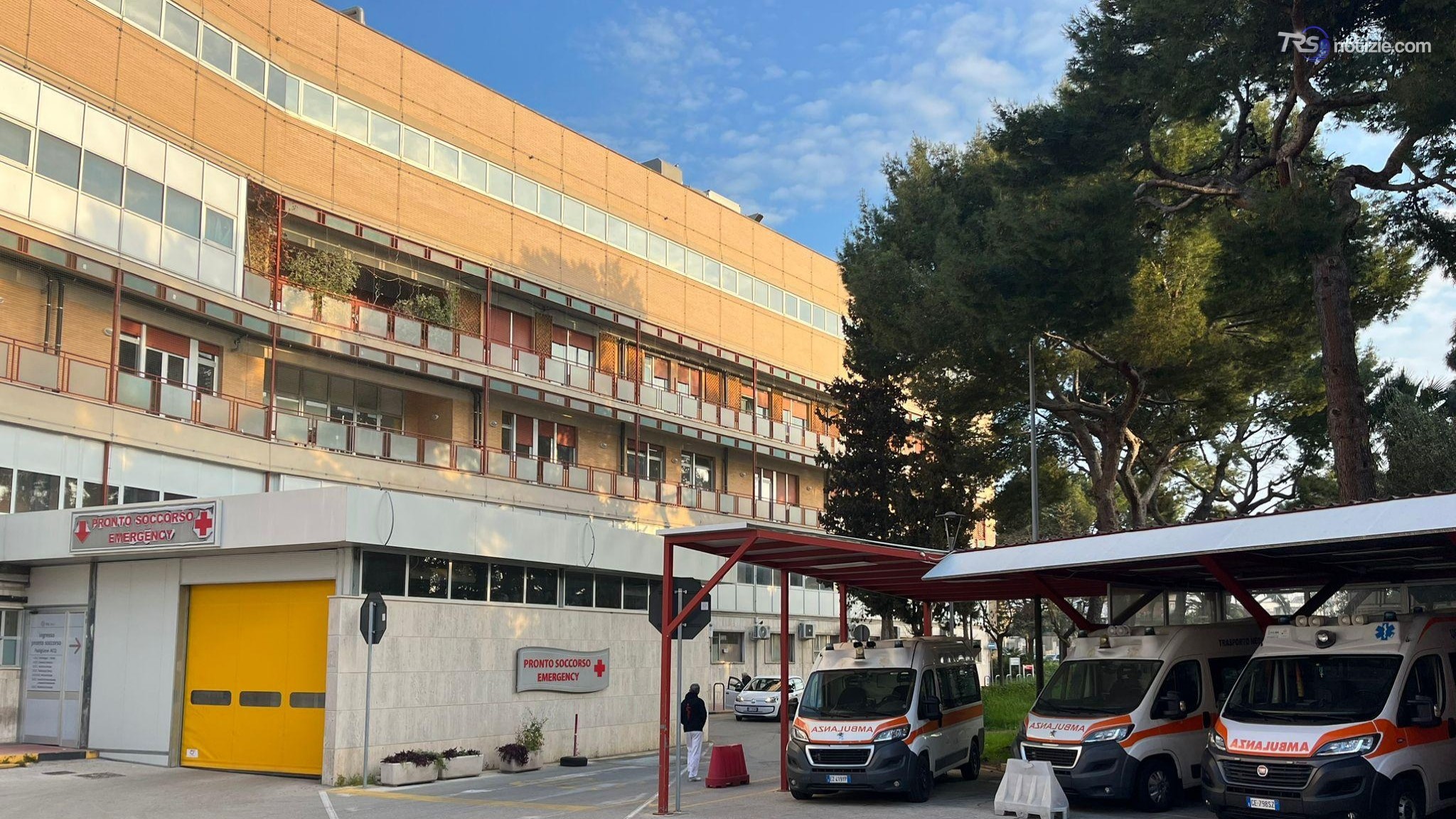 Bari, bimba di 6 anni azzannata da cane randagio: è in rianimazione al Policlinico