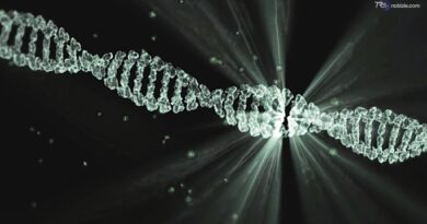 New York Times: "Scienziati hanno usato l'IA per creare nuovi virus, è la prima volta"