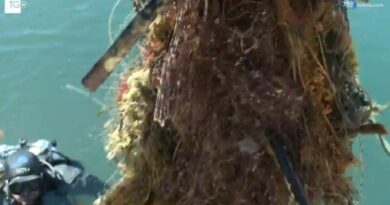 Gigantesca rete fantasma ritrovata a Termini Imerese e portata a Palermo