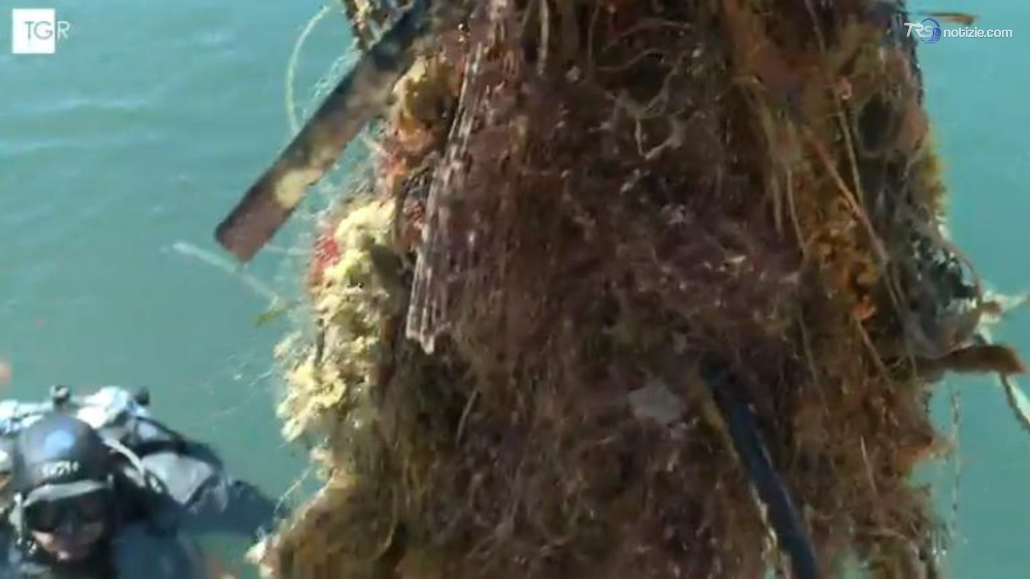 Gigantesca rete fantasma ritrovata a Termini Imerese e portata a Palermo