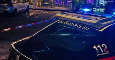 Donna morta in casa con ferite da coltello, giallo a Parma