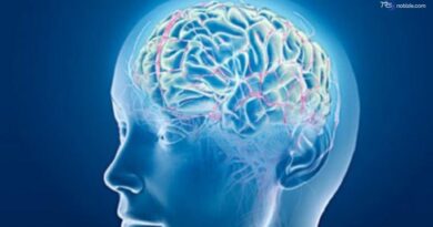 Uomo paralizzato recupera alcuni movimenti e tatto grazie a un 'by-pass neurale'