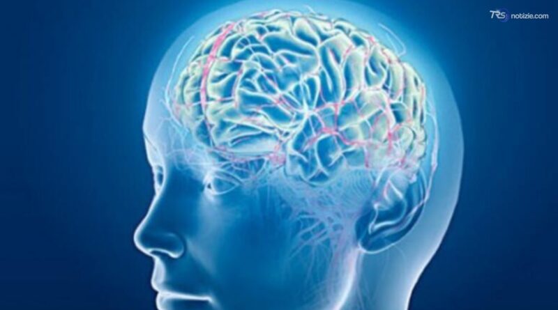 Uomo paralizzato recupera alcuni movimenti e tatto grazie a un 'by-pass neurale'