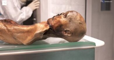 Ötzi, sul corpo e nella flora intestinale trovati lieviti ancora attivi