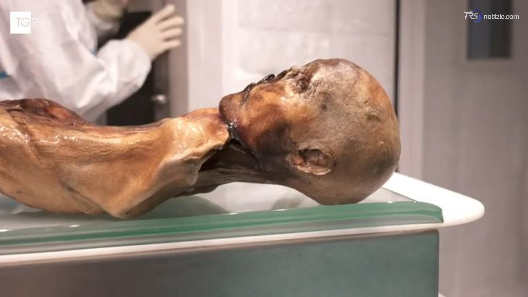 Ötzi, sul corpo e nella flora intestinale trovati lieviti ancora attivi