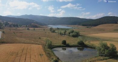 Futuro24. SilaBioMetric, misurare la biodiversità