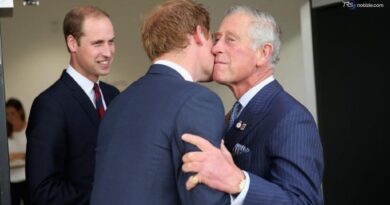 Dall'amore di corte allo strappo della Megxit: la cronologia della frattura tra Harry e i Windsor