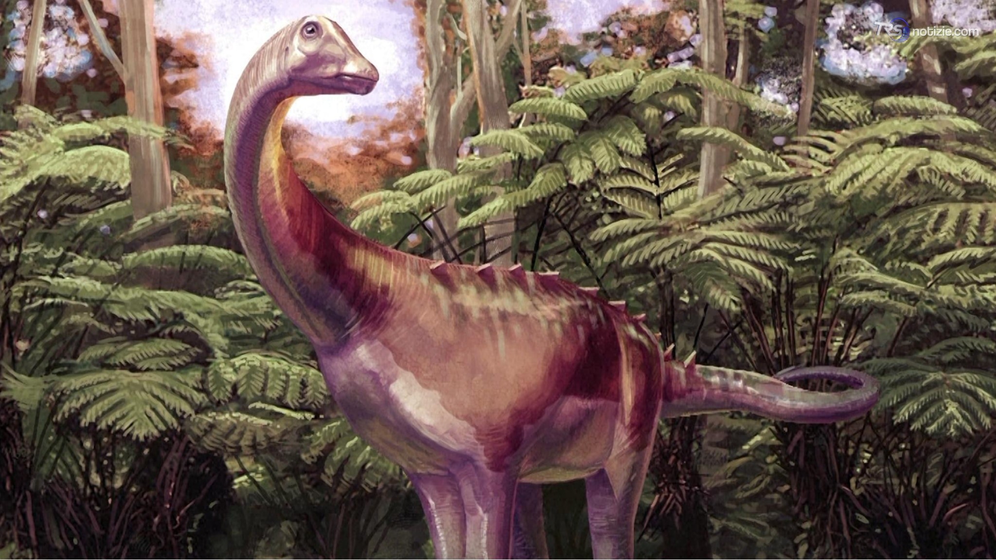 Dimenticato per 40 anni in un cassetto: era l'osso di un raro dinosauro dell'Antartide