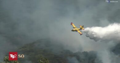 Terza ondata di caldo fino a sabato, allarme incendi e bollini rossi in 4 città