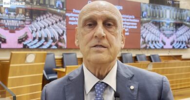 Dispositivi digitali, Agostiniani (Sip): "Cervello si sviluppa in funzione degli stimoli che riceve"