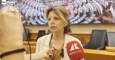 Bambini e dispositivi digitali: Giannotta (Terre des Hommes), “Proposta a tutela dei piccoli"