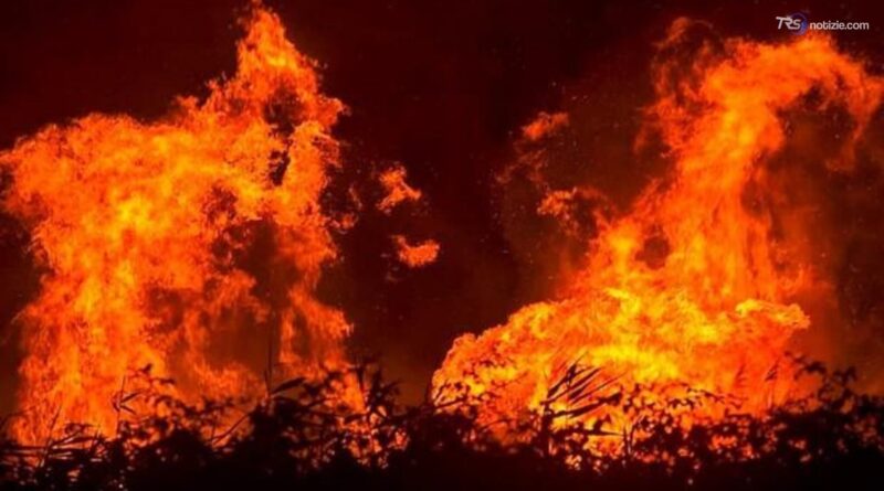 Incendi, dalla Regione oltre 18 milioni per la deforestazione