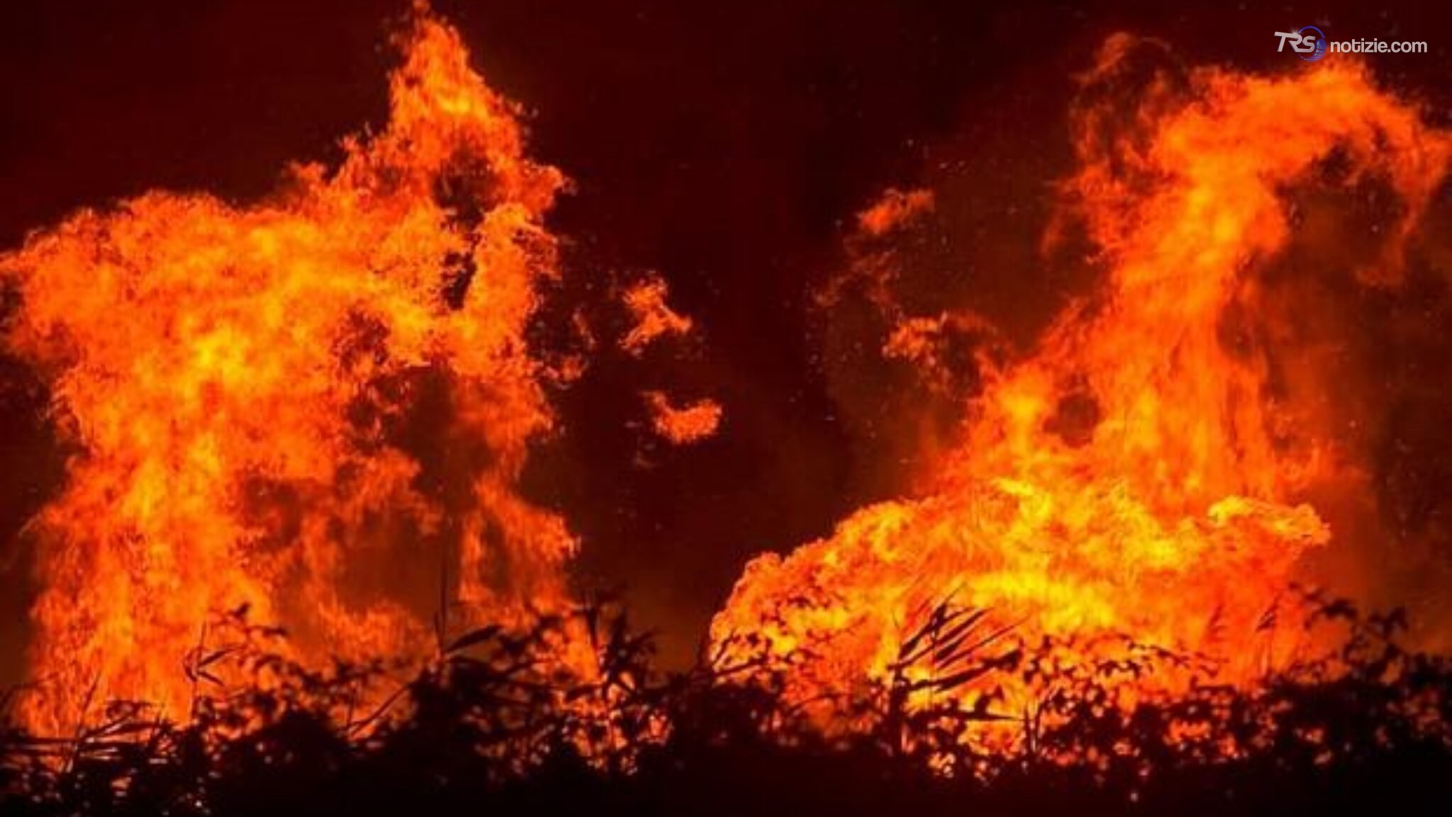 Incendi, dalla Regione oltre 18 milioni per la deforestazione