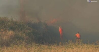 Quattro Comuni su 10 non aggiornano il registro degli incendi