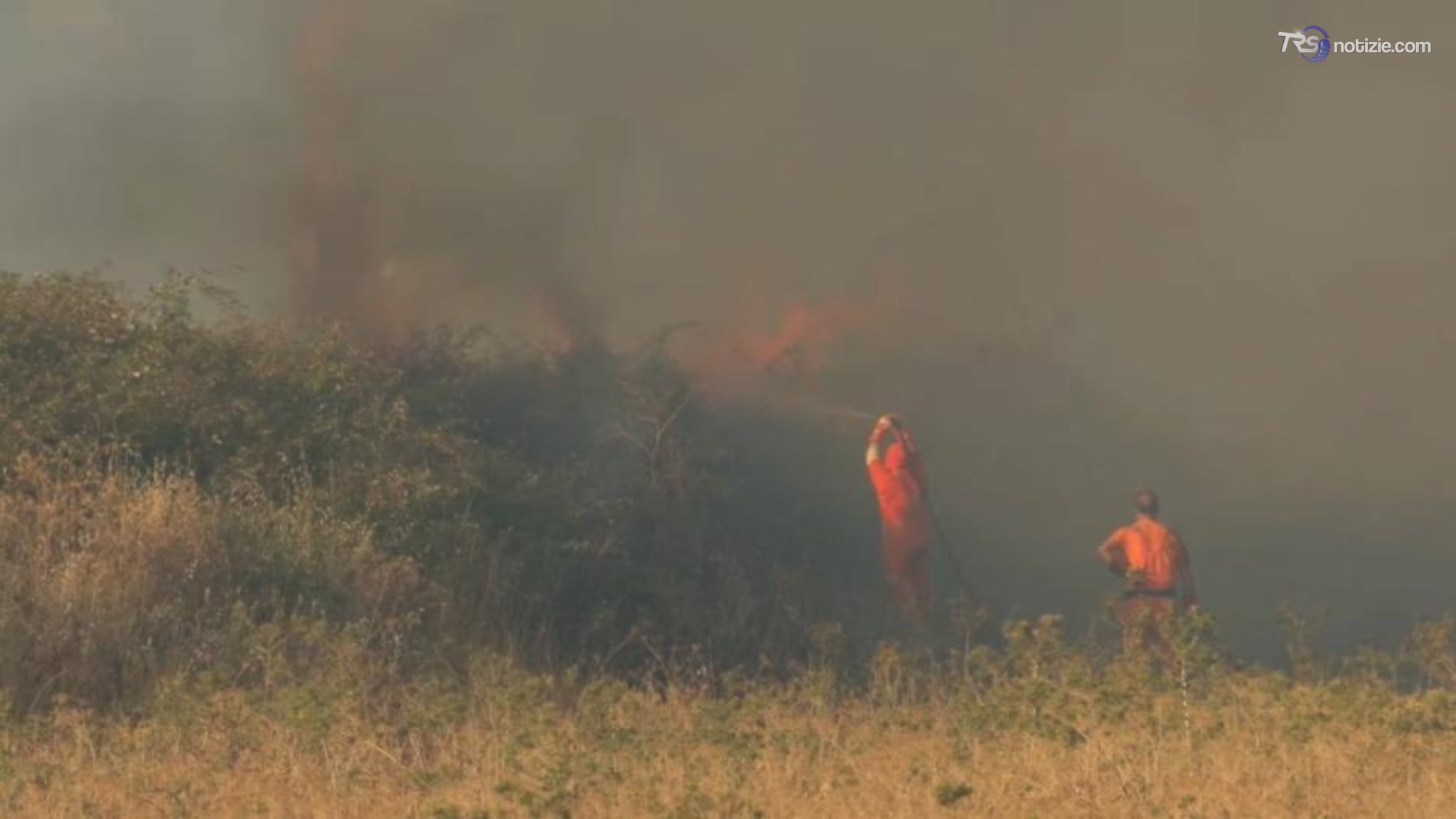 Quattro Comuni su 10 non aggiornano il registro degli incendi