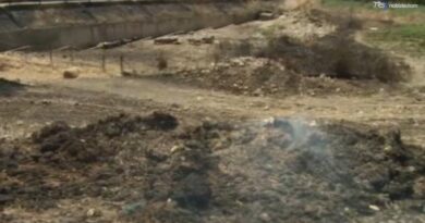La Regione avvia la ricognizione dei danni degli incendi