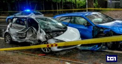 Schianto Casal Palocco, youtuber affidato ai servizi sociali