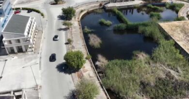 Decementificazione, via 50 metri quadri attorno al lago per piantare alberi