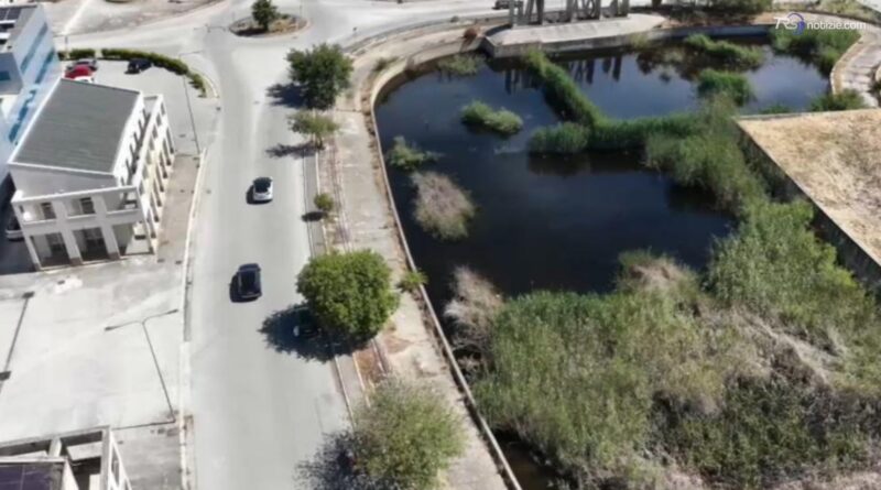 Decementificazione, via 50 metri quadri attorno al lago per piantare alberi