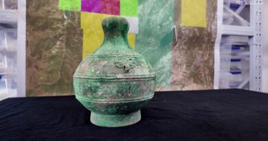 L'antico vino di cereali: gli archeologi scoprono la ricetta cinese di duemila anni fa