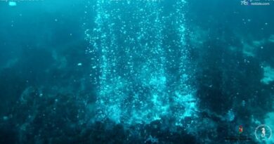 Nuovi camini idrotermali e un grande cratere sottomarino al largo di Panarea