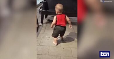 Domenico, morto dopo il trapianto di cuore danneggiato: accordo sul risarcimento
