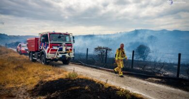 WWF: nel 2026 bruciati in Europa già 435mila ettari, in Italia +133% rispetto agli ultimi 20 anni