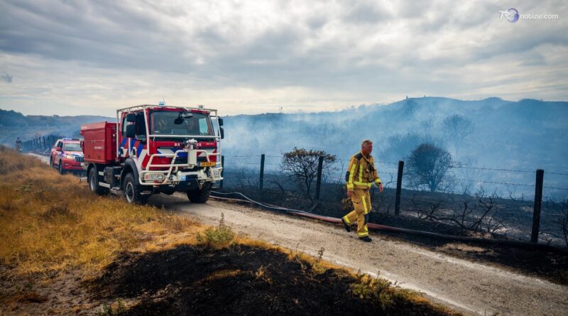 WWF: nel 2026 bruciati in Europa già 435mila ettari, in Italia +133% rispetto agli ultimi 20 anni