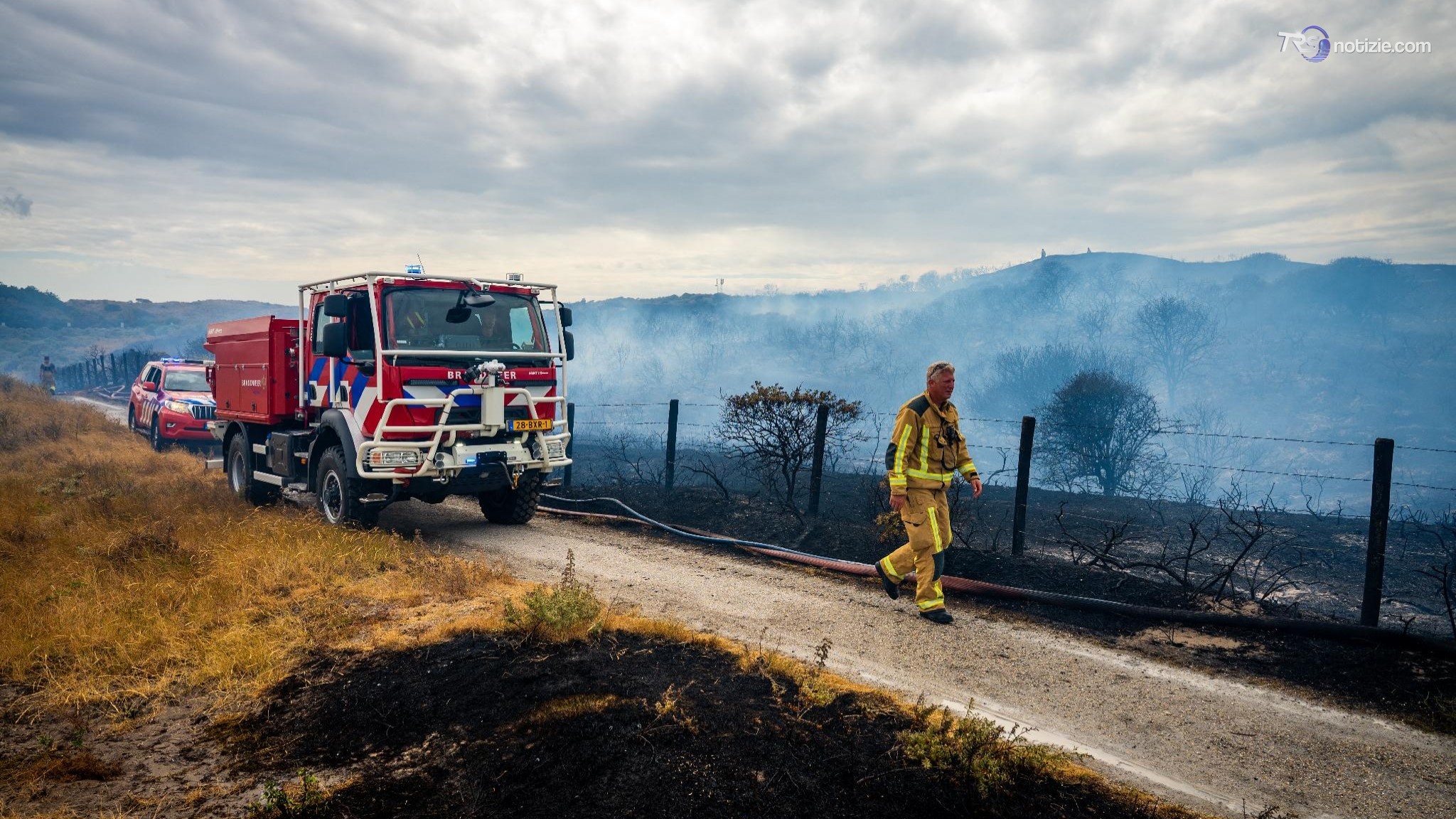 WWF: nel 2026 bruciati in Europa già 435mila ettari, in Italia +133% rispetto agli ultimi 20 anni