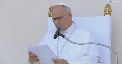 Papa: cristiani opposto fondamentalismo