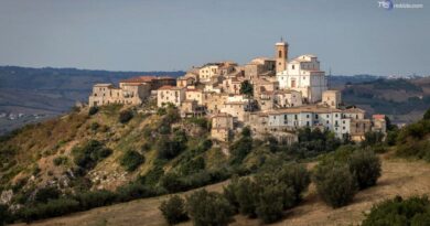 Uccide nonna, arrestato nipote 25enne
