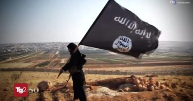 A 16 anni inneggiava alla Jihad e cercava istruzioni per costruire un ordigno: arrestato