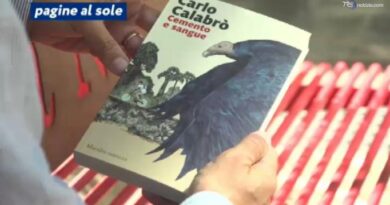 "Cemento e sangue", il romanzo di Carlo Calabrò