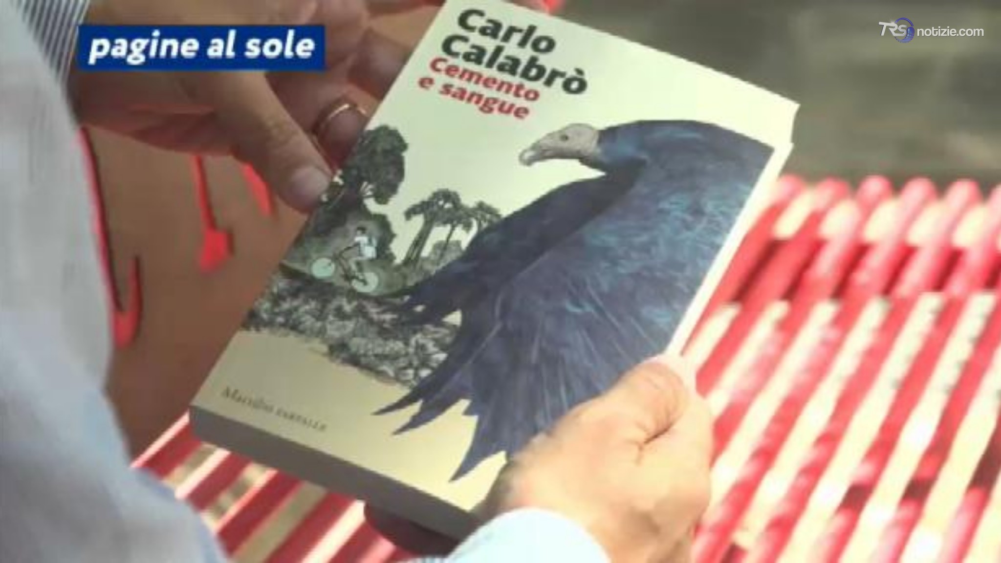 "Cemento e sangue", il romanzo di Carlo Calabrò